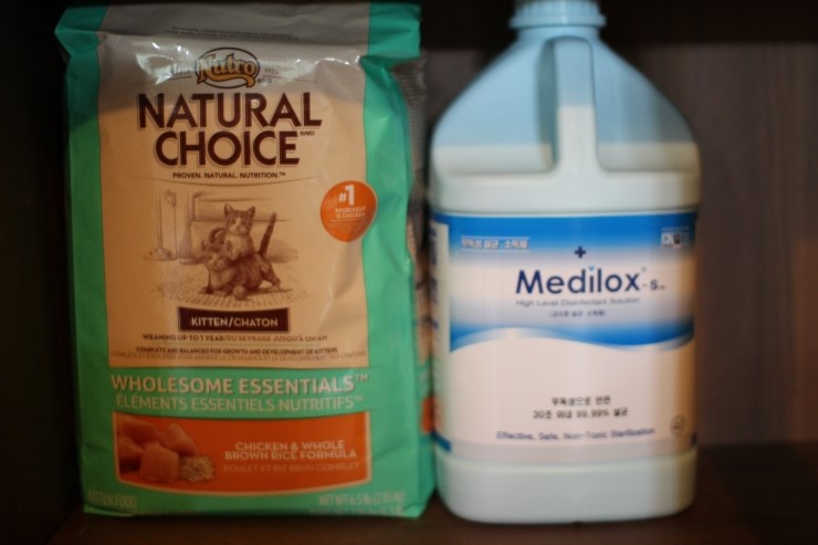 소유뱅갈고양이 캐터리에 사용중인 용품 관련 이미지 1