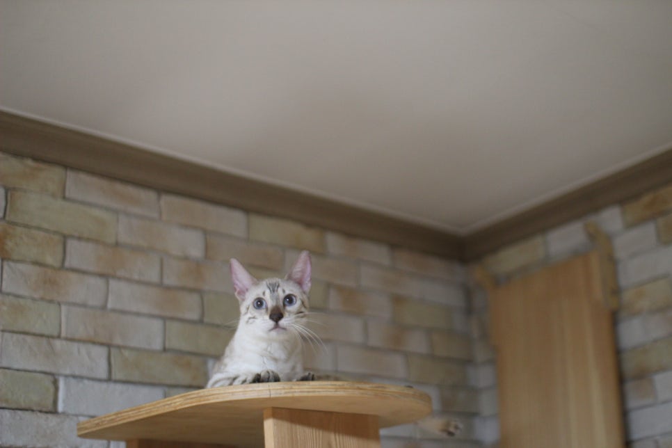 새해 복 많이 받으세요~ 관련 이미지 2