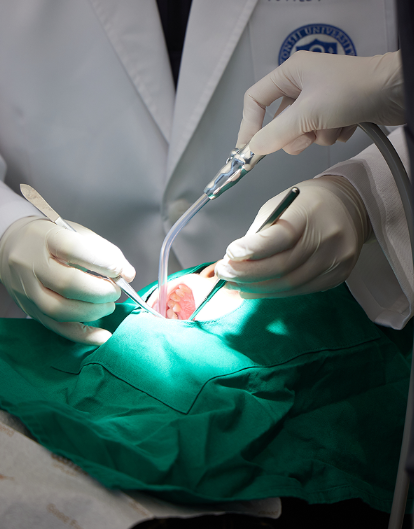 Could Fear of the Dentist Be Preventing You from Getting Implants? Conscious Sedation Implants at Magok Yonsei Wish Dental Clinic image 10