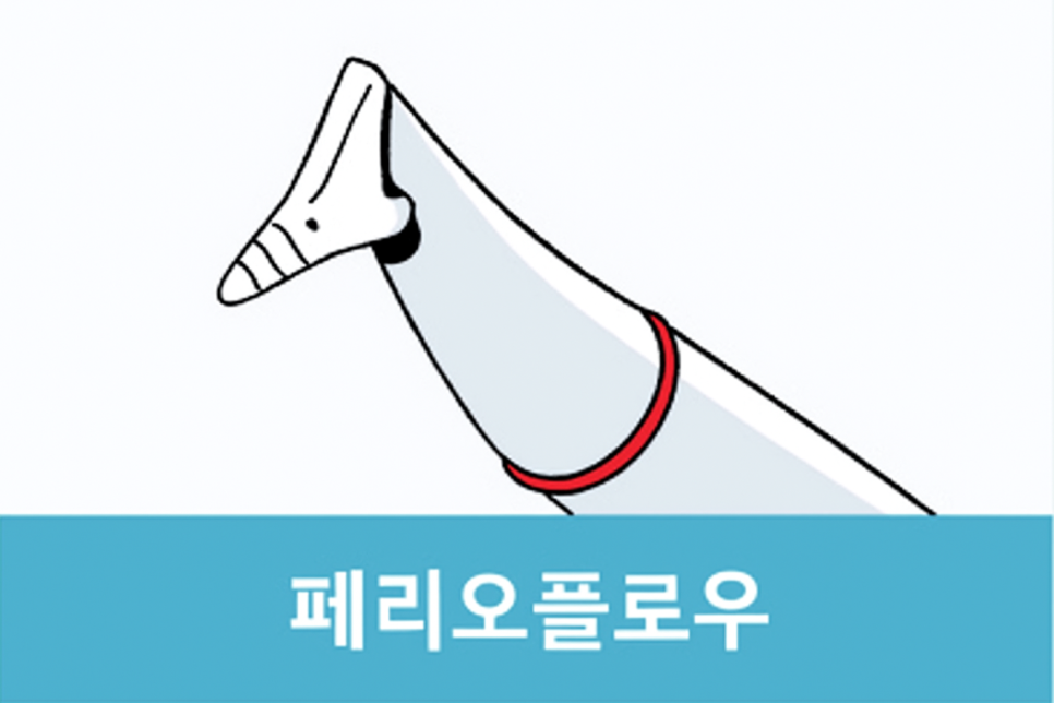 에어플로우와 초음파 스케일링 차이점과 단계별 치료 과정 강서구 치과 관련 이미지 6