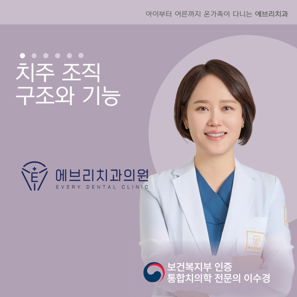 Causes of Tooth Loss Explained Through the Structure of Periodontal Tissues at Ujangsan Station Dental Clinic image 6