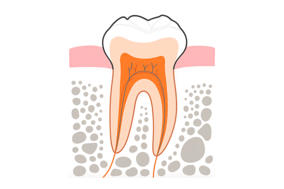 우장산역 치과 정기검진 & 연 1회 스케일링 왜 해야 될까? 관련 이미지 4
