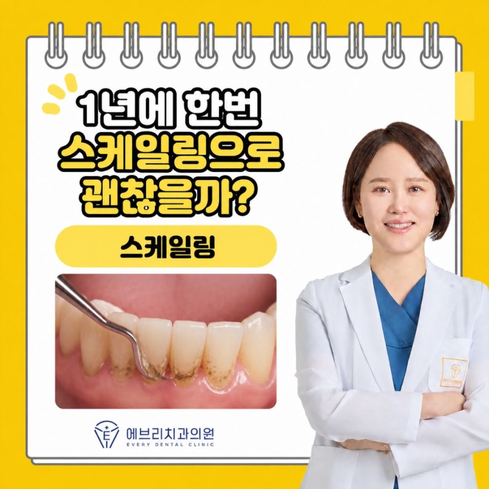 스케일링 1년에 한 번이면 충분할까요? 내발산동 치과에서 알려드립니다. 관련 이미지 5