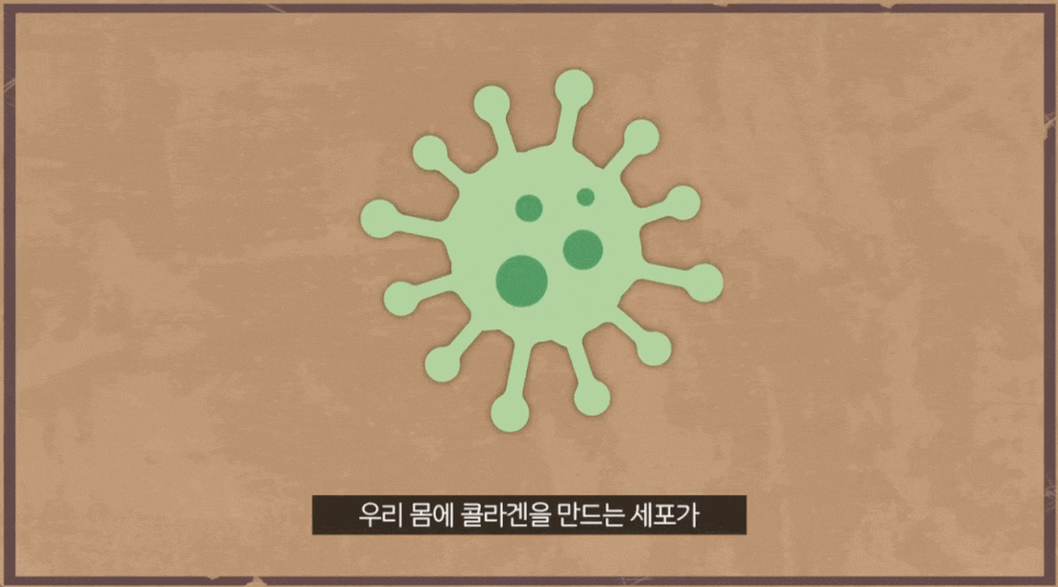 PDLLA Collagen Procedure: For the Skin’s Natural Elasticity and Health image 2