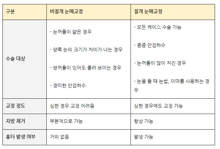 Famous Plastic Surgery Clinic in Nonhyeon-dong? A Specialist Answers Questions About Ptosis Correction (Q&A) image 2