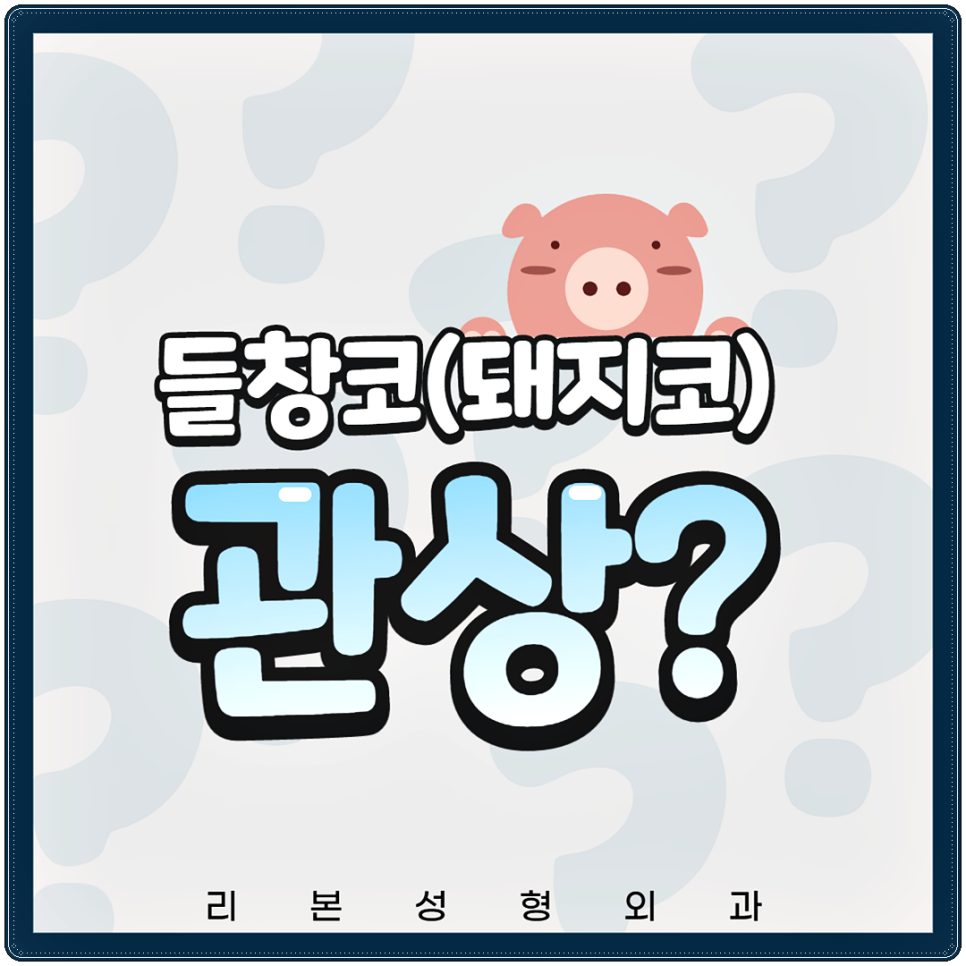 들창코관상(돼지코관상) 바꾸는게 좋을까요? 관련 이미지 1