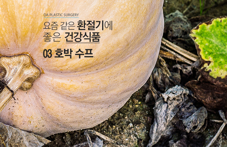 환절기에 좋은 식품 관련 이미지 5