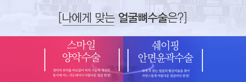 디에이 얼굴뼈사용설명서 관련 이미지 3