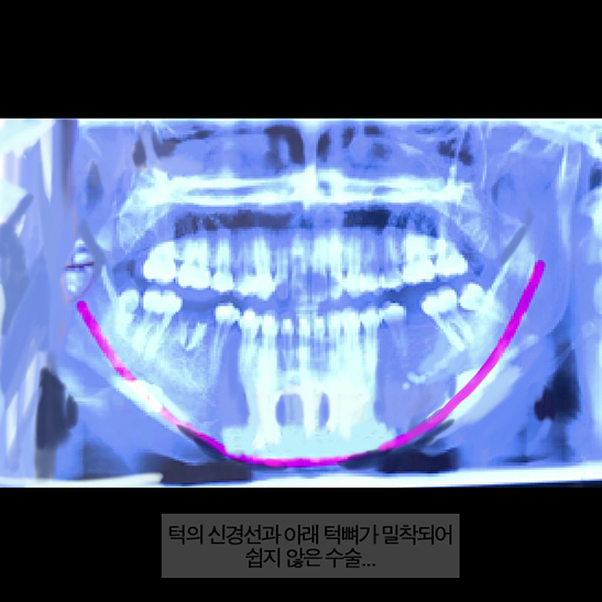 화이트스완 웹툰# 다시 꿈꾸고 싶은 외톨이, 설보경 관련 이미지 10