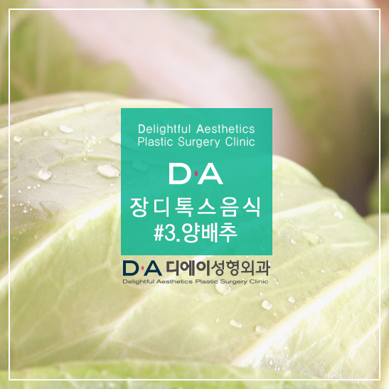 장건강에 좋은 장 디톡스 음식 DA성형외과에서 알려드려요! 관련 이미지 3