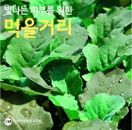 윤기있는 피부미인 되기, 먹을거리로 관리해보세요. 관련 이미지 5