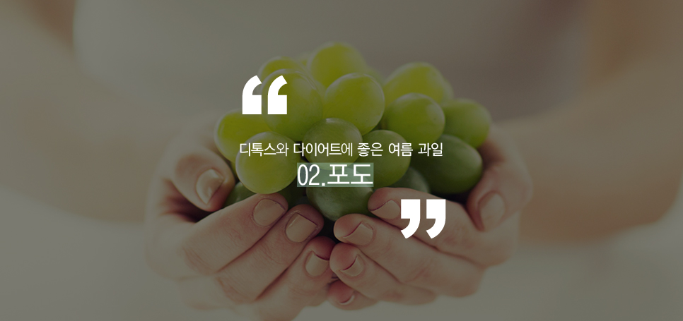 디톡스와 다이어트에 좋은 여름 과일 관련 이미지 4
