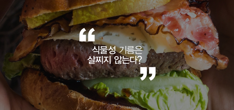 잘못된 다이어트 상식 관련 이미지 5