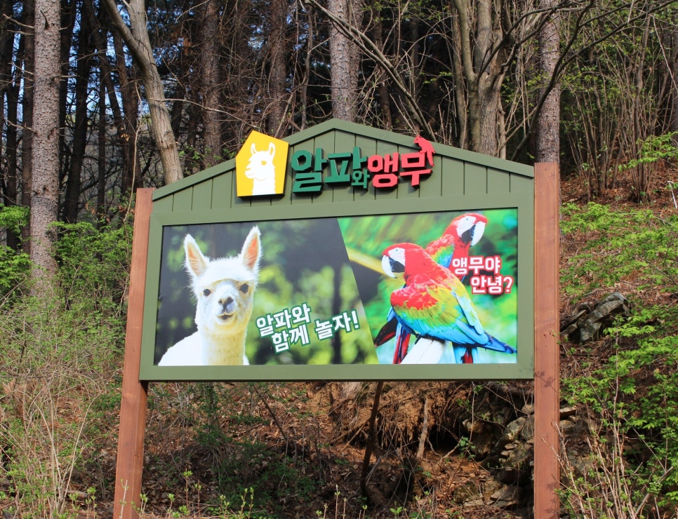 안전하고 예측 가능한 광대축소술. 성형외과 전문의가 알려드립니다. (feat. 미드라인성형외과) 관련 이미지 10