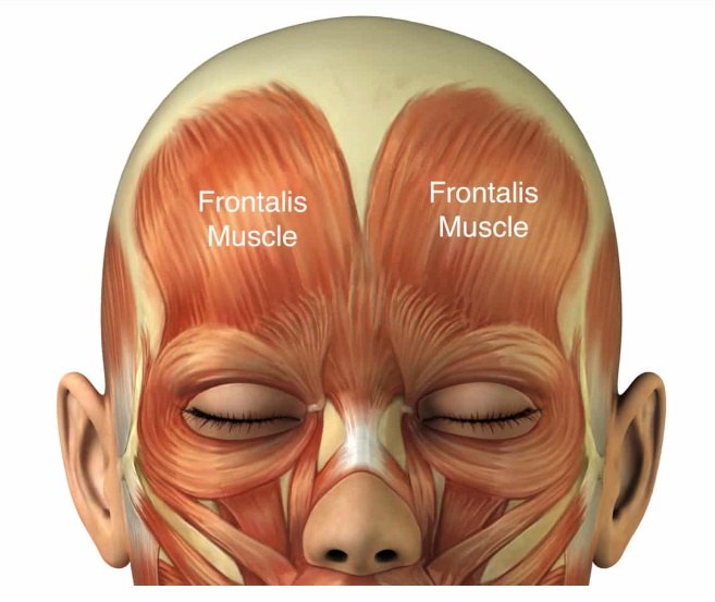 내시경 이마거상(Endoscopic forehead lift)에 대하여 성형외과 전문의가 알려드립니다. 관련 이미지 1