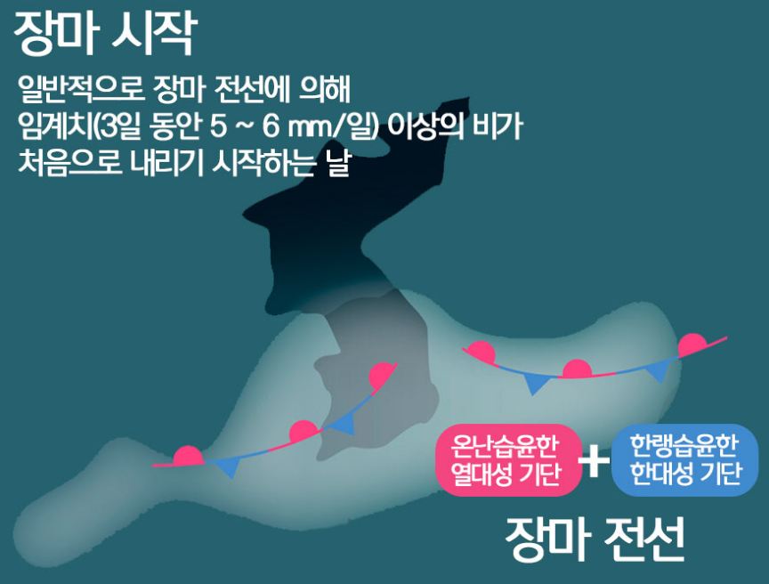 콧등 보톡스로 해결할 수 없는 콧등 가로주름!! 근본적인 해결에 대하여 알려드립니다. 관련 이미지 12