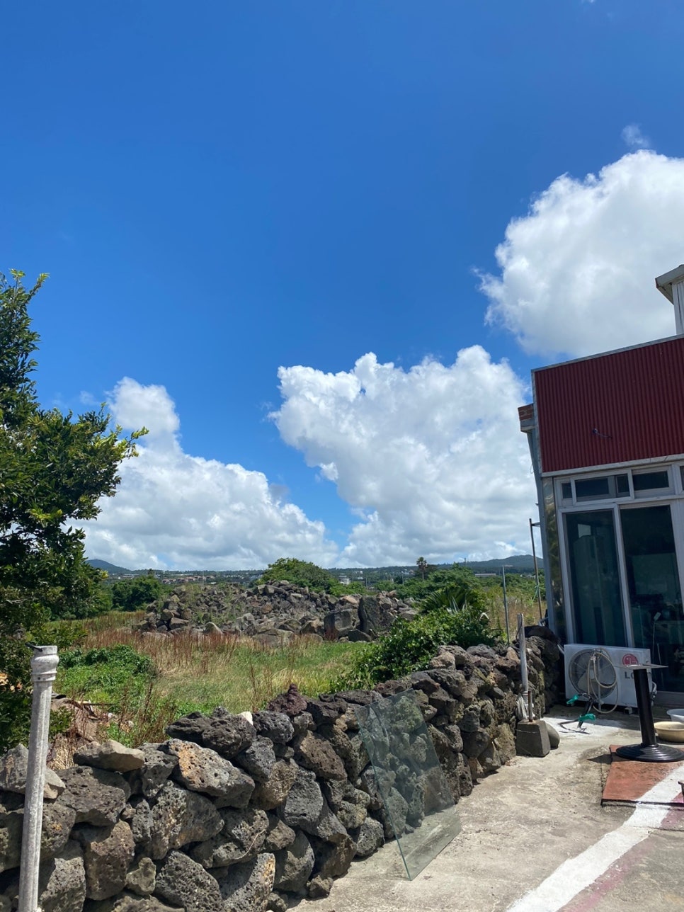 [Jeju Island Trip] Black Seagull, a Good-Value Sushi Restaurant on Jeju’s West Side image 6