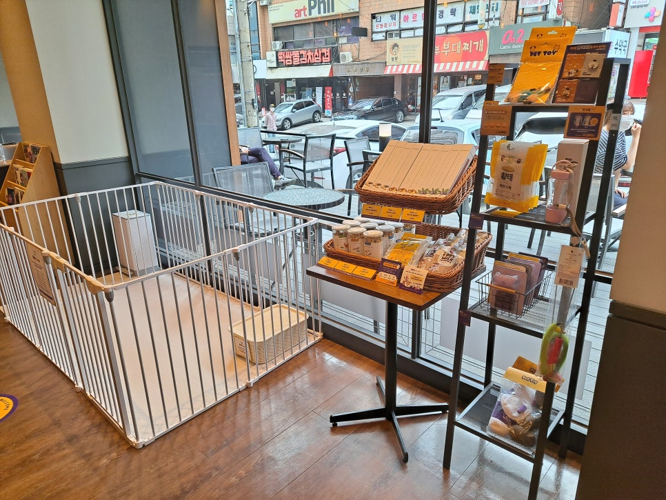 Coffee Bean New Apgujeong Branch, Dog-Friendly Cafe: Building Petiquette Culture for Pets image 8