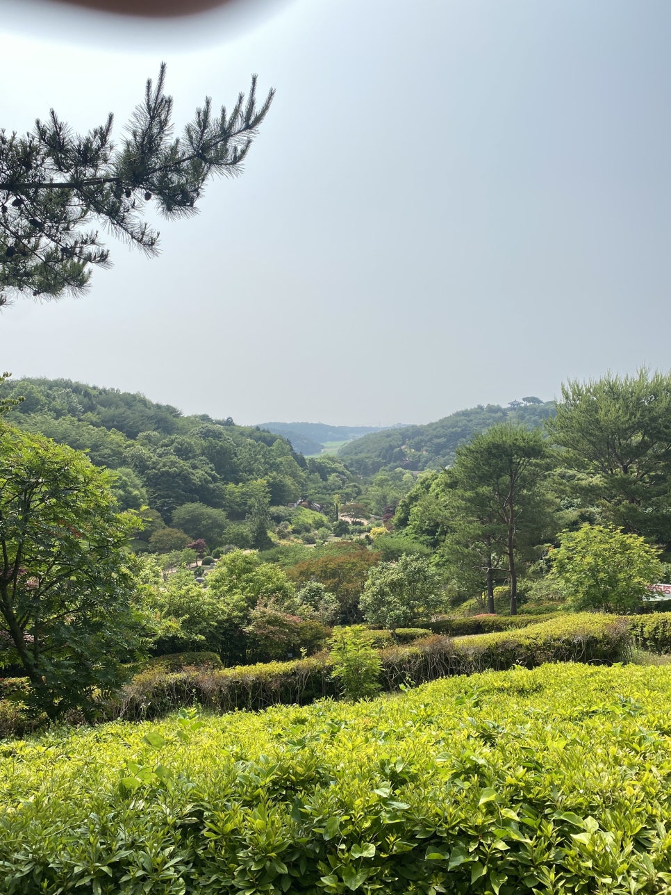 힐링하기 좋은 태안 안면도 수목원 그리고 운여해변 관련 이미지 2