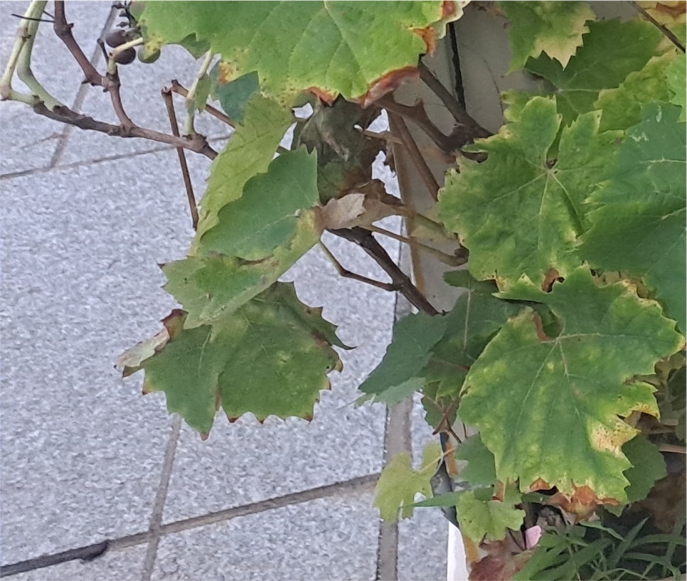 남자 속쌍 눈매교정잘하는곳 자연스럽게 관련 이미지 21