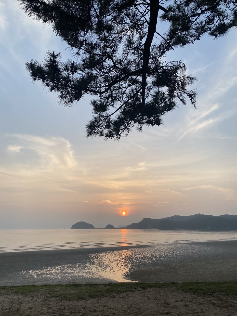 힐링하기 좋은 태안 안면도 수목원 그리고 운여해변 관련 이미지 10