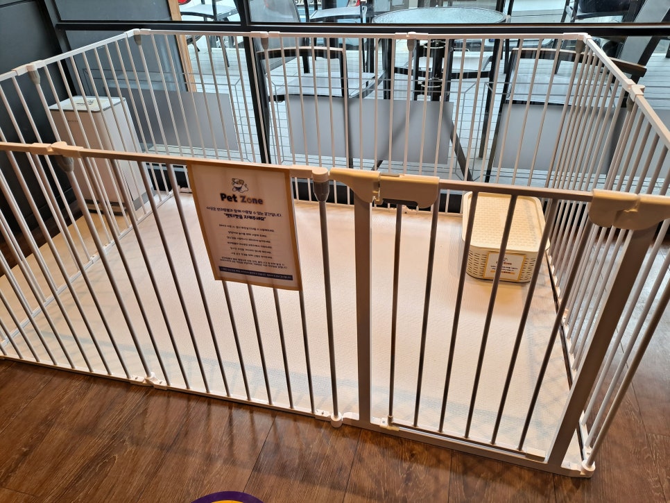 Coffee Bean New Apgujeong Branch, Dog-Friendly Cafe: Building Petiquette Culture for Pets image 9