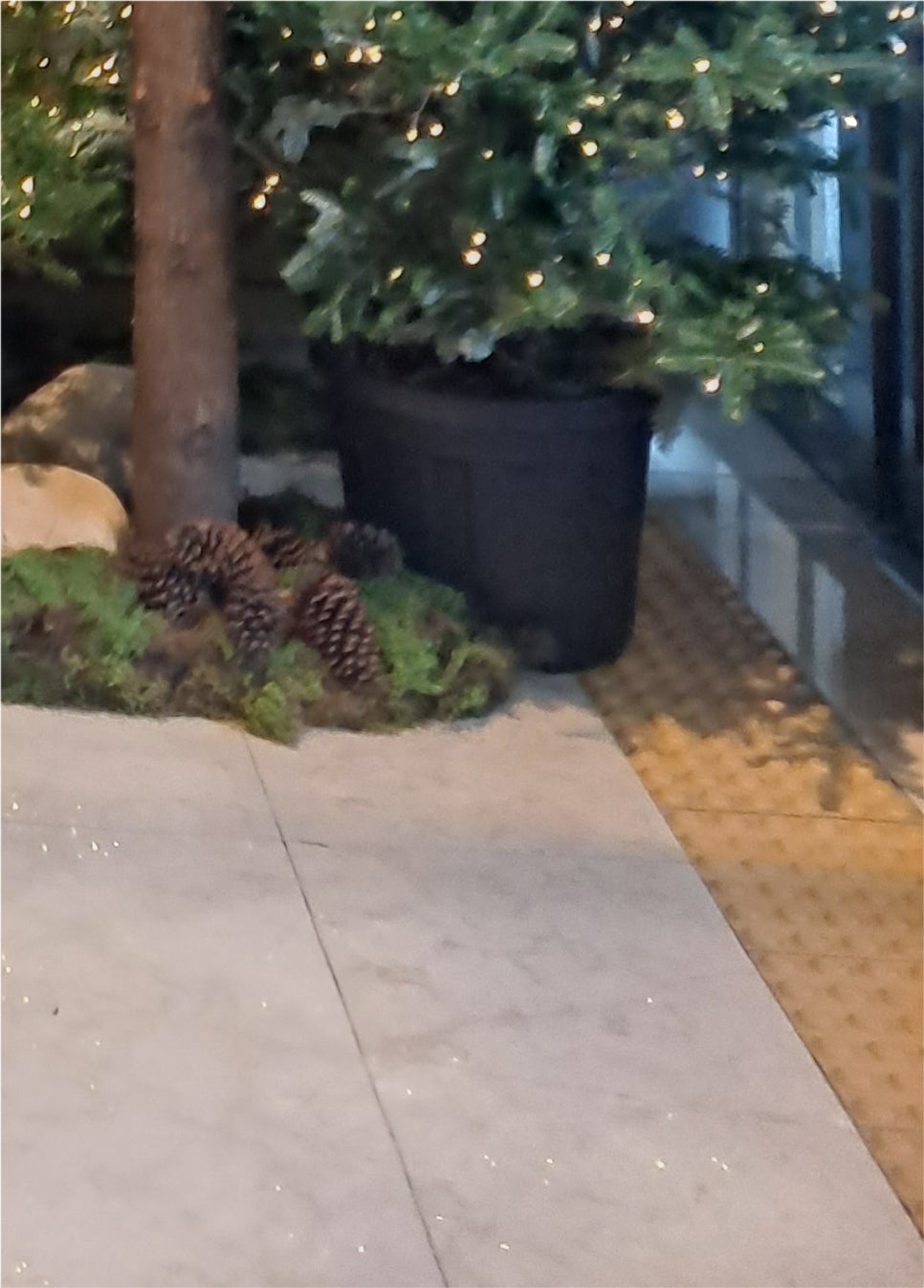 눈성형전후 꼼꼼하게 비교해서 관련 이미지 22