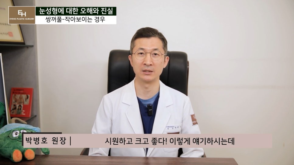 눈성형에 관한 오해와 진실 관련 이미지 15