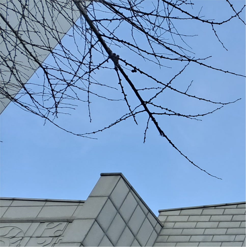 남자눈매교정전후 세세하게 파악해보면서 관련 이미지 15