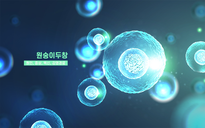 집단발병 원숭이두창 원인, 증상, 백신, 감염경로 관련 이미지 1
