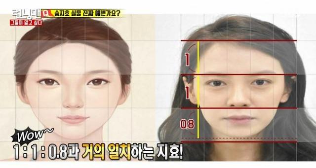 중안면이 긴 얼굴의 코성형과 지방이식 관련 이미지 1
