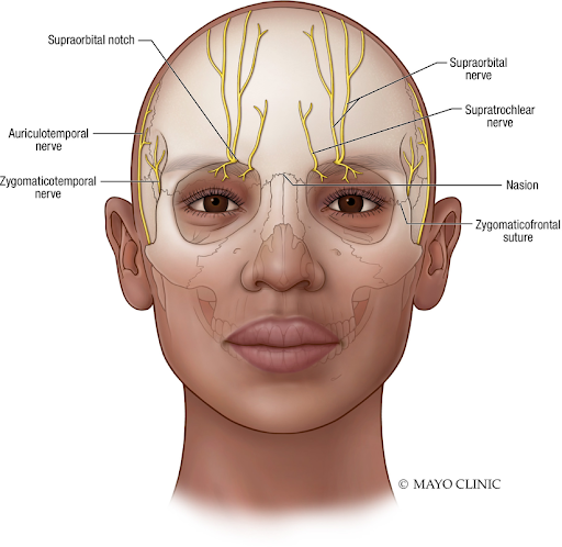 Forehead Reduction Surgery to Naturally Lower the Hairline image 1