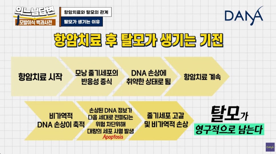 항암치료 후 탈모가 생기는 원인 관련 이미지 7