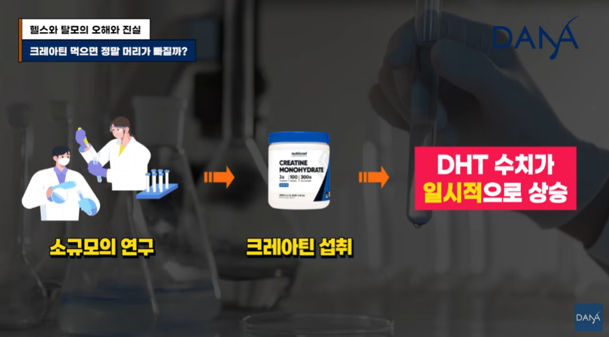 크레아틴 먹으면 정말 머리가 빠질까? 운동 보조제가 탈모에 미치는 영향 관련 이미지 6