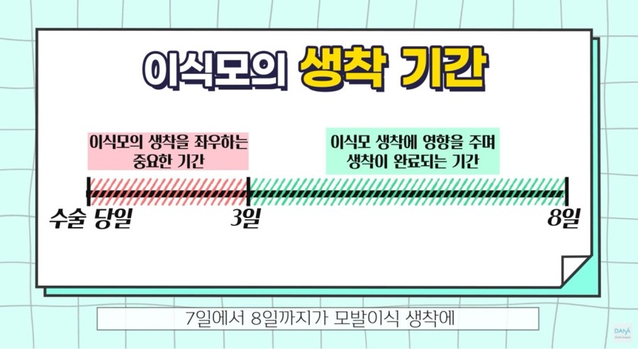 모발이식수술 후 3일~9일차에 주의해야 할 체크리스트 관련 이미지 3