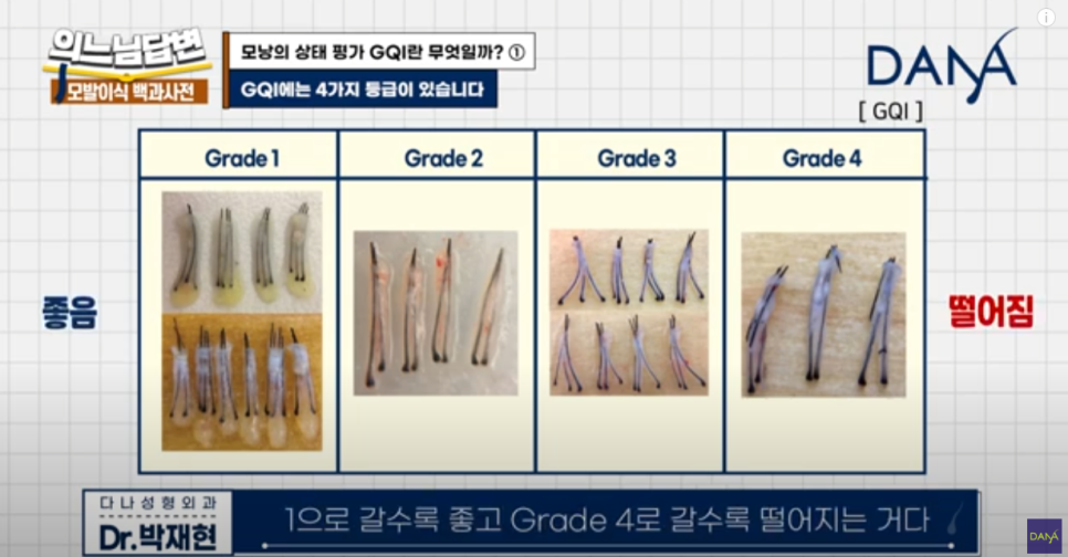 What Is GQI? ① image 3