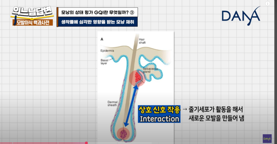 Evaluation Criteria for Hair Follicles at Dana Plastic Surgery image 6