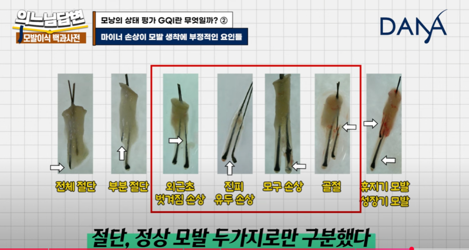 GQI의 문제점?! 관련 이미지 11