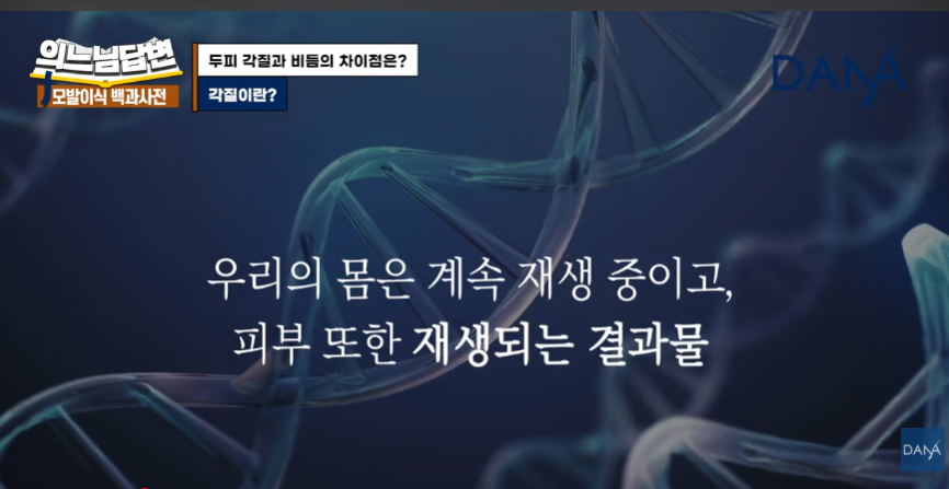 머리 잘 감아도 비듬 생기는 뜻밖의 원인! 두피 각질 차이 및 해결법 관련 이미지 3