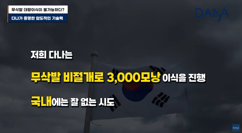 무삭발 모발이식이르 3000모 대량이식 가능할까? 생착률 높이는 진짜비밀 관련 이미지 3