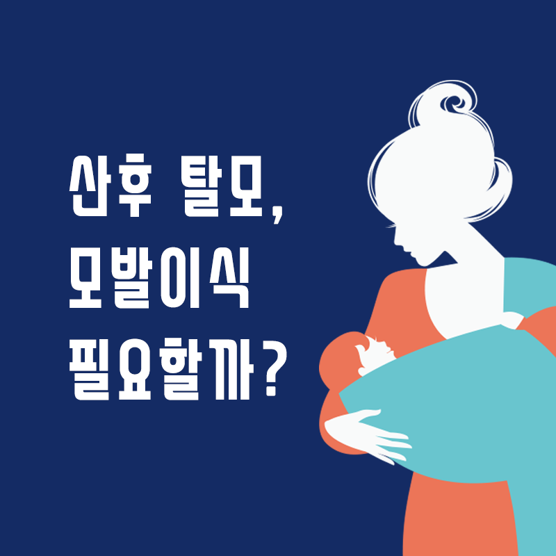 산후탈모 모발이식 필요할까? 관련 이미지 1