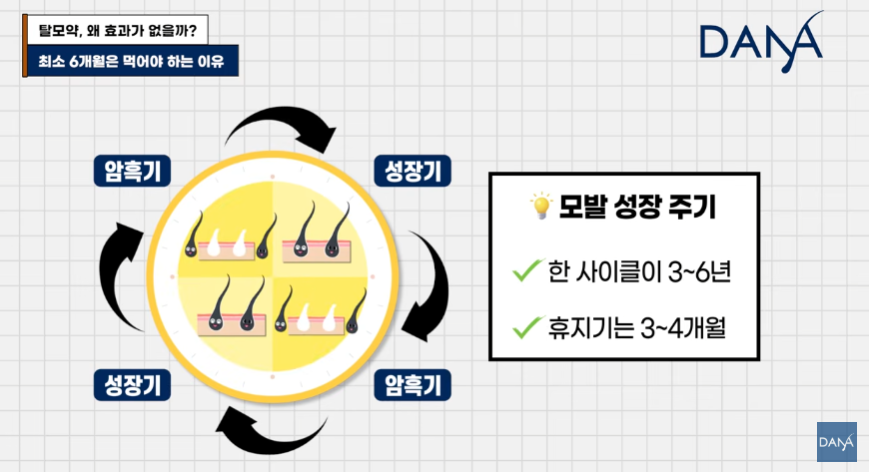 한두 달 먹고 효과 없다고 탈모약 끊은 분들 100% 후회합니다 관련 이미지 9