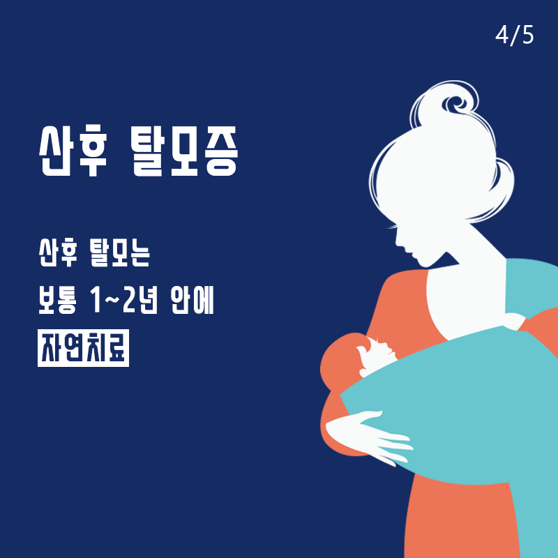 산후탈모 모발이식 필요할까? 관련 이미지 5