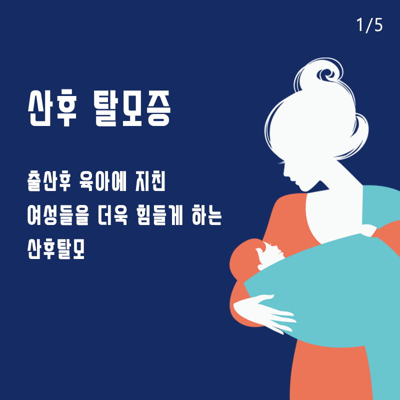 산후탈모 모발이식 필요할까? 관련 이미지 2