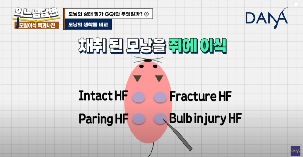 Evaluation Criteria for Hair Follicles at Dana Plastic Surgery image 2