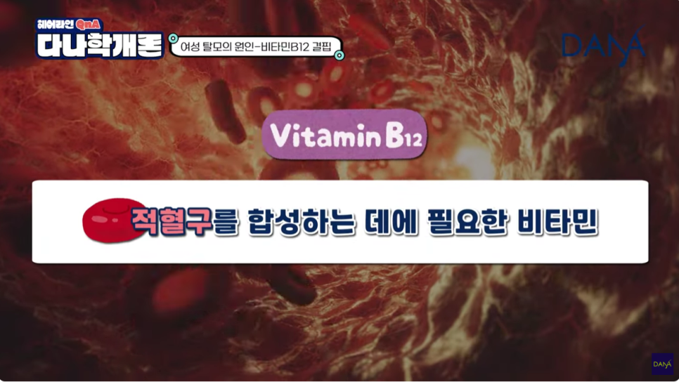 여성탈모원인 파악하고 제대로 치료하세요 관련 이미지 20