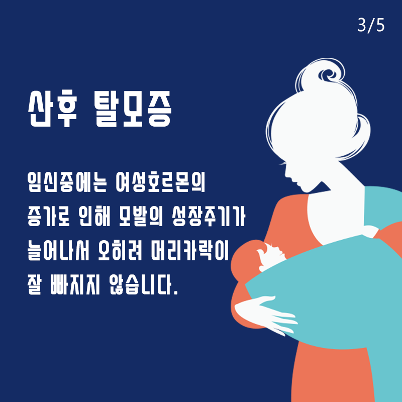 산후탈모 모발이식 필요할까? 관련 이미지 4