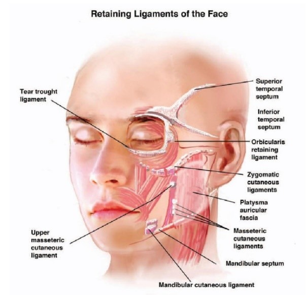 Lifting That Can Replace Ulthera and InMode: TION Lifting (Titanium + ONDA Lifting) image 2