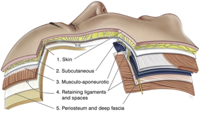 Why Full-Face Ulthera Is Needed image 1