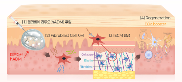 Rejuran vs. Lituo: What’s the Difference, and Which Procedure Is Right for My Skin? image 6